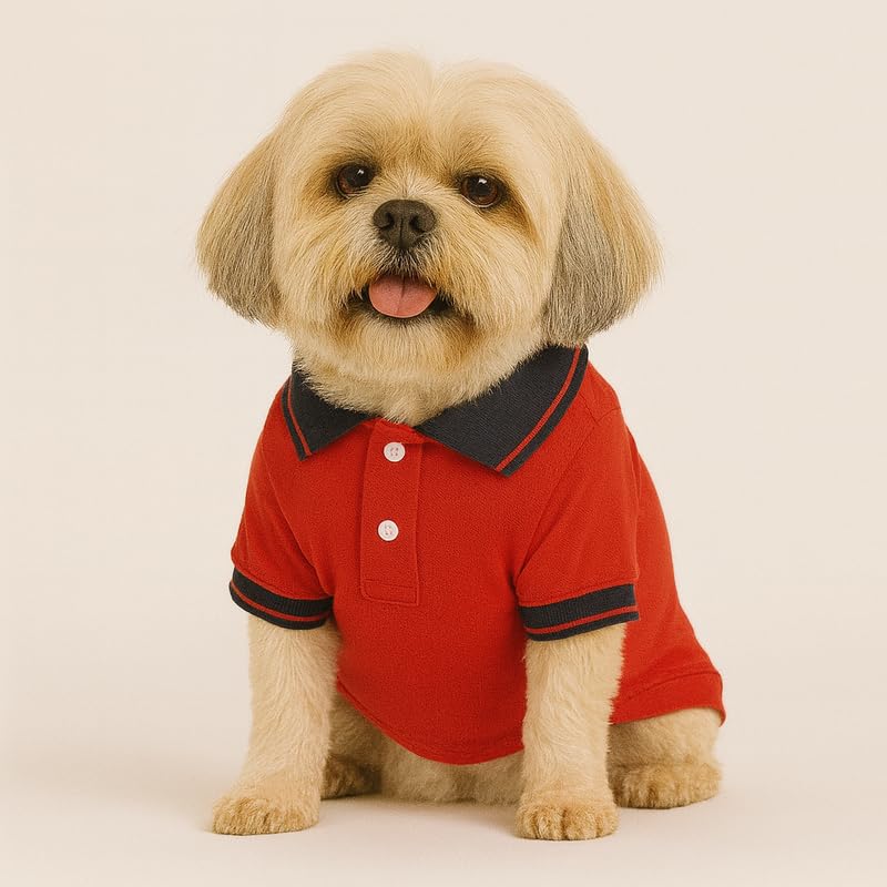 Image of Thunder Tails Premium Cotton Polo Dog T-Shirt | for Large Dogs | Red-Navy | 4XL | for Lean Labrador, Golden Retriever, German Shepherd, Rottweiler, Husky & Chow Chow