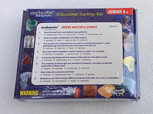 ROCKSMINS-RO20WM-Rocks-Collection-Set-of-20-School-Education-Igneous-Sedimentary-Metamorphic-Samples-activity-geology-earth-science-volcanic-stones-Rock-Memory-Great-Educational-STEM-Toys-Kids-with-QA