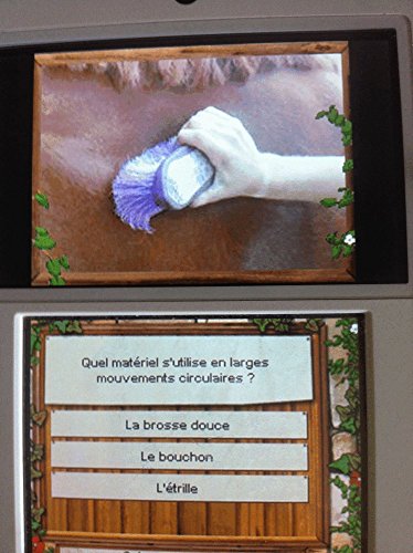 EQUITATION : GALOP 7 / JEU CONSOLE NINTENDO DS - vue 10