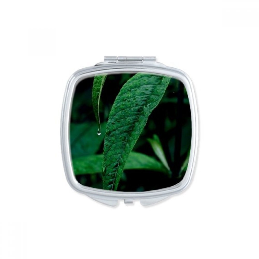 Miroir de poche plante nature compact et carré pour retouches maquillage