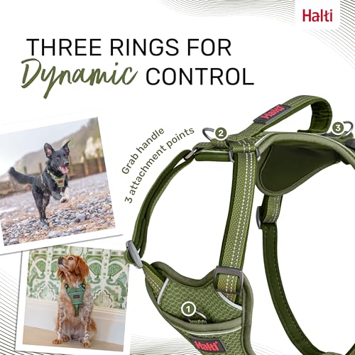 Image of Halti Anatomy Dog Harness with Handle | Size XL, Green | Padded, Adjustable & Reflective No Pull Dog Harness, 3 Leash Attachment Points including Front Clip, Suitable for Large Dogs