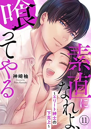 素直になれよ、喰ってやる~エリート紳士の下克上~ 11 (恋愛宣言)