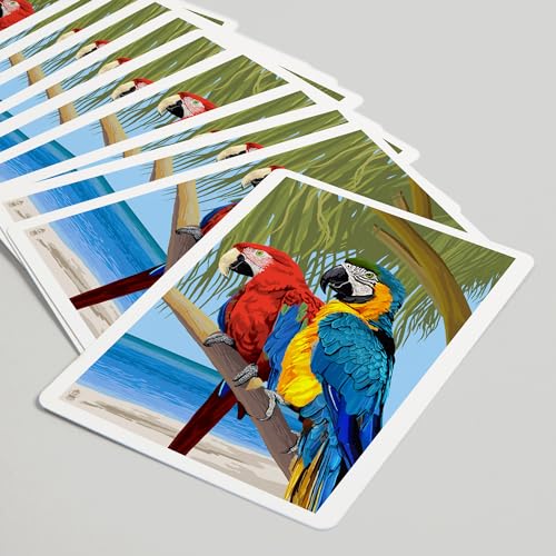 Baraja Lantern Press Parrots, 52 cartas póker para adultos miniatura 5