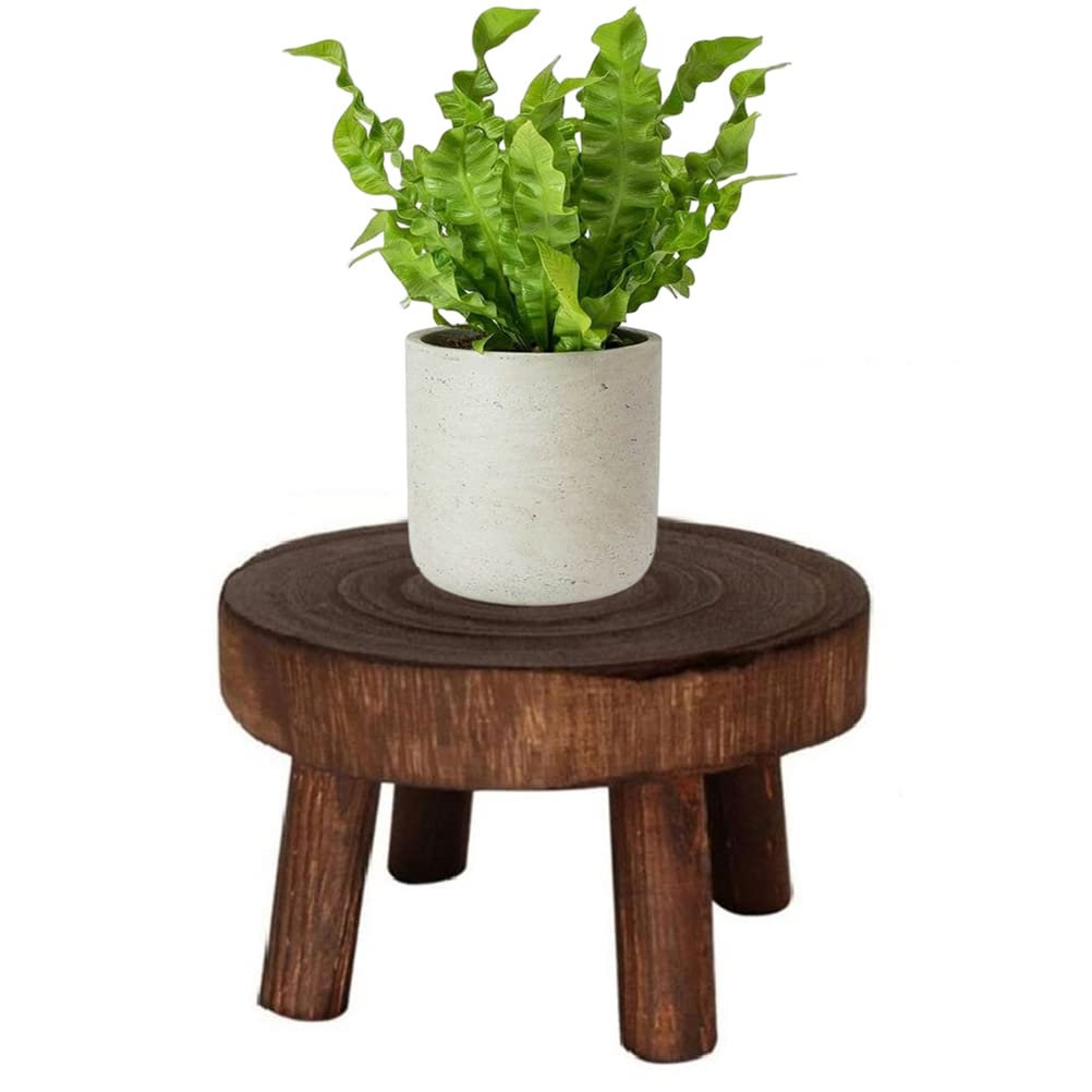 display stand・stool】 ディスプレイ台・スツール・植物台 【公式通販】