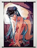 Anime family Home Decor Anime Akame ga Kill Wall Scroll Poster Fabric Painting Esdeath