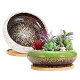 ARTKETTY Succulent Pots with Drainage, 2 Pack Large Succulent Planters Ceramic Bonsai Pot with Trays, 7.3 Inch Round Shallow Planters for Indoor Cactus Flower Plants