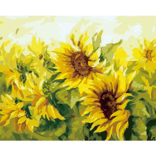 Peinture par numéros adultes fleurs décoration murale de salon 40x50