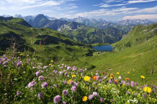 Alpine Meadow on Lake Seealpsee with Hoefats Mountain and Allgaeu Alps in the Nebelhorn Mountain Region near Oberstdorf, Allgaeu, Swabia, Bavaria, Germany Giclee Art Print Poster or Canvas