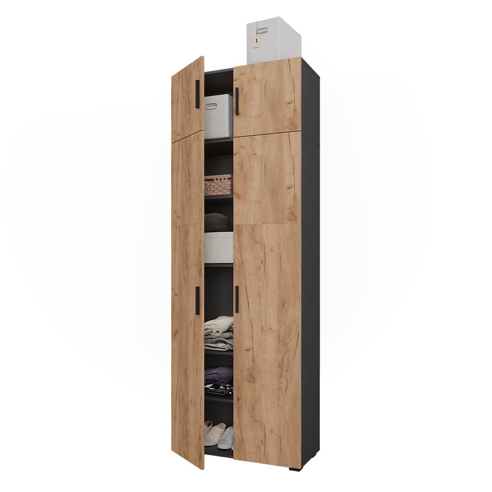 Vicco Étagère à dossiers Frank, Anthracite/chêne doré, 80x223.8cm avec Fixation d'armoire, pour Un Rangement Clair des dossiers et classeurs