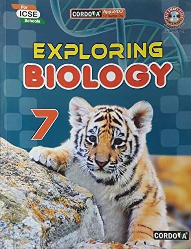 Twinkle (3037) CL-3T-3