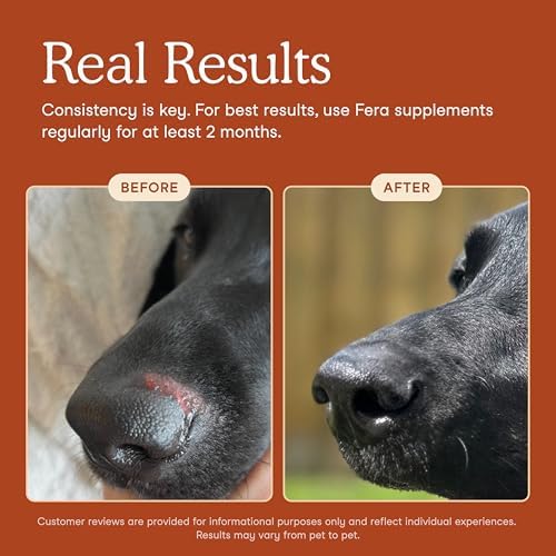Fera Pets Probiotics for Dogs & Cats with Prebiotics — bottom and base construction detail