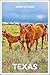 Insight Guides Texas: Travel Guide with eBook (Insight Guides Main Series)