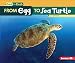 From Egg to Sea Turtle (Start to Finish, Second Series)
