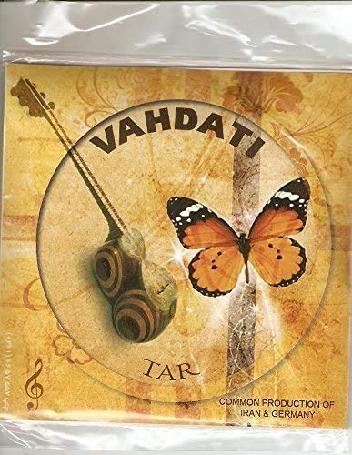 Persian Tar Strings #TOP11