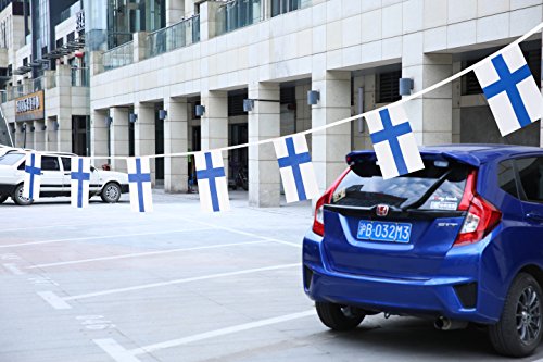 Finland Flag,TSMD 100 Feet Finnish Finn Flag National Country World Pennant Flags Banner String,International Party Decorations For Olympics,Bar,Grand Opening,School Sports Events,Festival Celebration