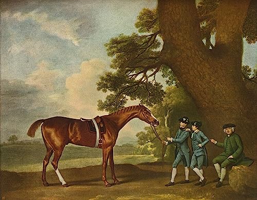 Art décorative tableaux sur toile Éclipse Stubbs haut de gamme 60x90