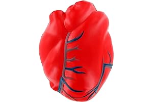 ARIEL Heart with Veins Stress Toy | Educational and Sensory Toy