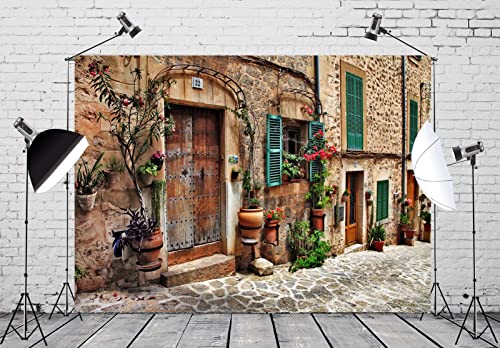 Fond de studio photo de qualité supérieure avec décor maison ancienne et fleurs