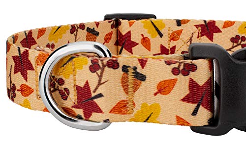 Country Brook Petz - Deluxe Fall Foliage Dog Collar - Made In The U.s.a. - Awesome Autumn Collection With 7 Design You Will Fall For (1/2 Inch, Mini) #TOP3