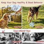 Jouets de corde de chien pour les brochettes agressives,Chiens moyens, Corde de coton lourd, Jouet de chevreuil de chien, Tug de guerre, Toss, Jeux de fetch, Nettoyage des dents, Jouets pour chien pour l'intérieur et l'extérieur, Cadeau pour chien