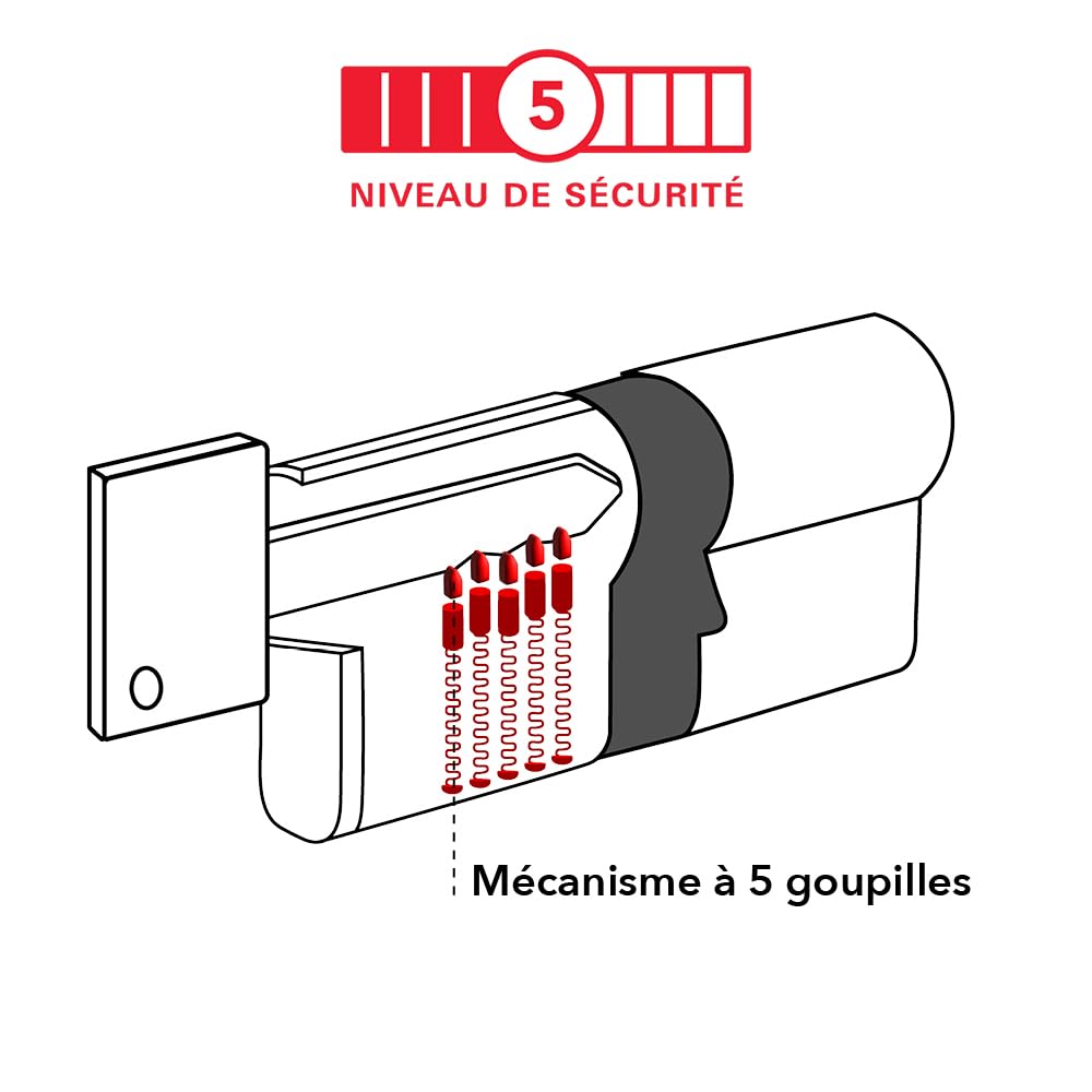 THIRARD Cylindre de serrure double, 40 x 60 mm, anti-arrachement, nickel | Finition nickelée, mécanisme double entrée, 3 clés fournies, sécurité renforcée, installation facile