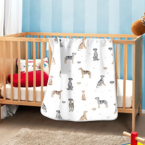 Image of Catahoula Leopard Dog Swaddle Blanket - Cotton Receiving Blanket for Infants, Lightweight Soft Swaddling for Crib, Stroller, Nursery, Puppy, 30x40 in
