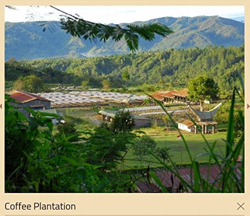 Kapal Api Luwak Blend ( Canned ) 200Gr From Original Fabric In Indonesia #TOP3