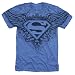 Popfunk Superman Winged S Shield Logo All Over T Shirt & Stickers (Medium) Blue
