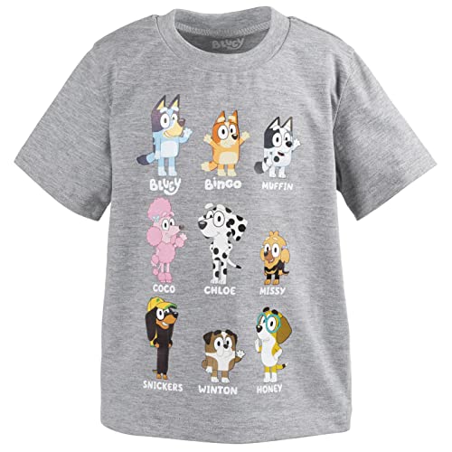 Image of Bluey T-Shirt and Mesh Shorts Outfit Set Infant to Big Kid Sizes (12 Months - 10-12)