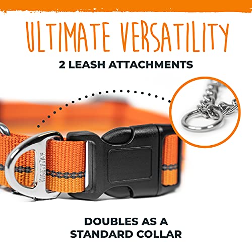 Mighty Paw Martingale Dog Collar 2.0 | Trainer Approved Limited Slip Collar With Stainless Steel Chain & Heavy Duty Buckle. Modified Cinch Collar For Gentle & Effective Pet Training (Orange) #TOP4