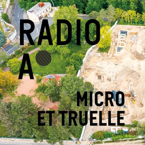 『Etienne Hofmann - Le rapport de fouilles du chantier de la Sarra』のカバーアート