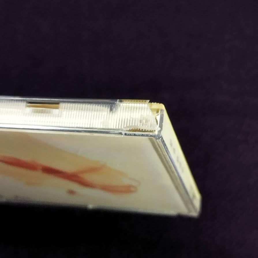 ‼️超希少限定品です‼️アンディラウ 劉徳華 ポスター色々セット 香港有名俳優 ☆ アンディ・ラウ / 劉 徳華 ☆ 中国限定 3CD