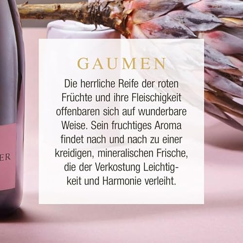 Louis Roederer Champagne Brut Champagner Rosé (1 x 0.375 l)