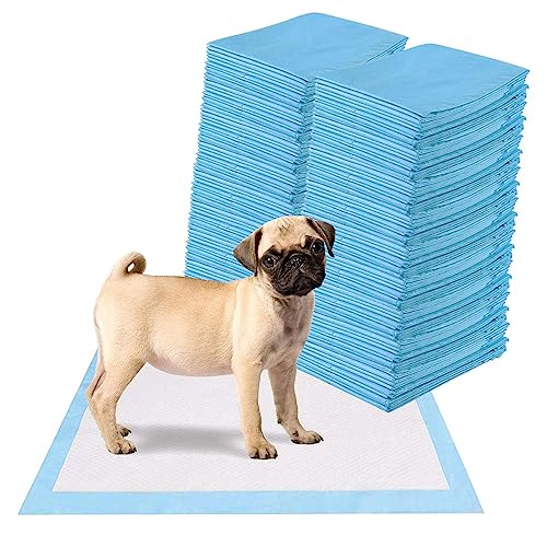 Hund Pampers Die 15 besten Produkte im Vergleich HundeINFOPortal