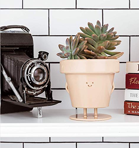 Standing-Indoor-Plant-Pot-Unique-Cute-Flower-Pot-with-Face-SucculentCactus-Planter-with-Drainage-Hole-Decorative-Plant-Pot-35-Inch-Novelty-Planter-1-x-Standing-Pot Standing-Indoor-Plant-Pot-Unique-Cute-Flower-Pot-with-Face-SucculentCactus-Planter-with-Drainage-Hole-Decorative-Plant-Pot-35-Inch-Novelty-Planter-1-x-Standing-Pot