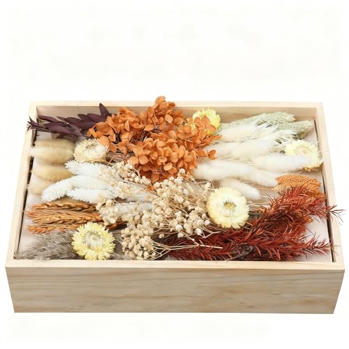 apmunik DIY Dried Flower Set Bulk Dried Flowers Bouquet Dried Flower Vase Arrangement Autumn Decoration Dried Flowers with Stems. (Fall)
