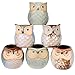 6 Pcs Mini Small Ceramic Owl Succulent Plant Pot Flower Planter Holder Cactus Planter Pot Flower Pot Container Planter