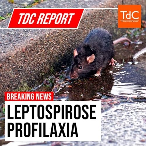 TdC Report: Profilaxia para Leptospirose Podcast Por capa