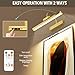 Bridika Picture Light Battery Operated, 13.8in Picture Lights for Wall, 3 Colors & Brightness Dimmable, Rechargeable Art Light for Paintings Photo Dartboard Gallery Bedroom Bathroom Gold
