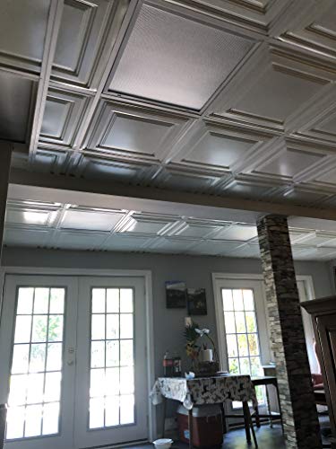 Economy 2 Ft. X 2 Ft. Pvc Lay-In Ceiling Tile Pack Of 10 #TOP2