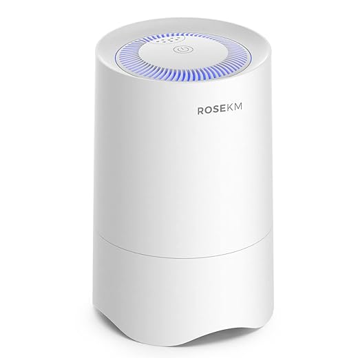 Small Air Purifier for Home Bedroom, Personal Desk Mini Air Purifier, Room Hepa Air Purifier Fresheners Cleaner for Dorm, Pets, Smoke, Desktop, Office (White)