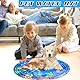 Lets Joy Sensor Wasser Spielmatte, Sensorische Wassermatte für Katzen, Sensor Water Playmat, Wasser Sensor Spielmatte für Katzen, Hunde, Tragbare, Sommer Wassersensorische Spielmatte