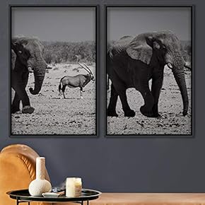 signwin 2 Piece Framed Canvas Wall Art Animals...