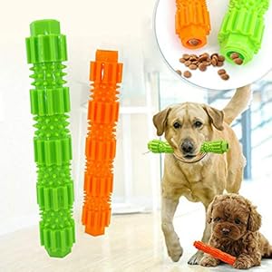 Ordertown Grinding Feeder voor hond & huisdier accessoires, hond kauwen Stick Agressieve Chewer Treat Dispenser Rubber huisdier tanden schoonmaken speelgoed, huisdieren zijn goede vrienden van de mens, S, ORANJE
