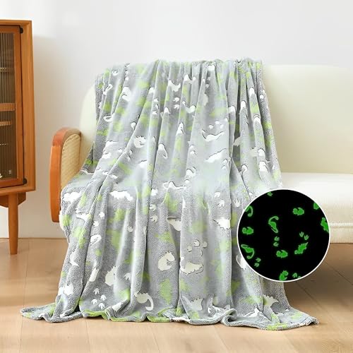 LAT Couverture Douillette pour Enfants, Couverture Brille dans Le Noir idéale comme Cadeau pour garçons et Enfants, Dinosaures