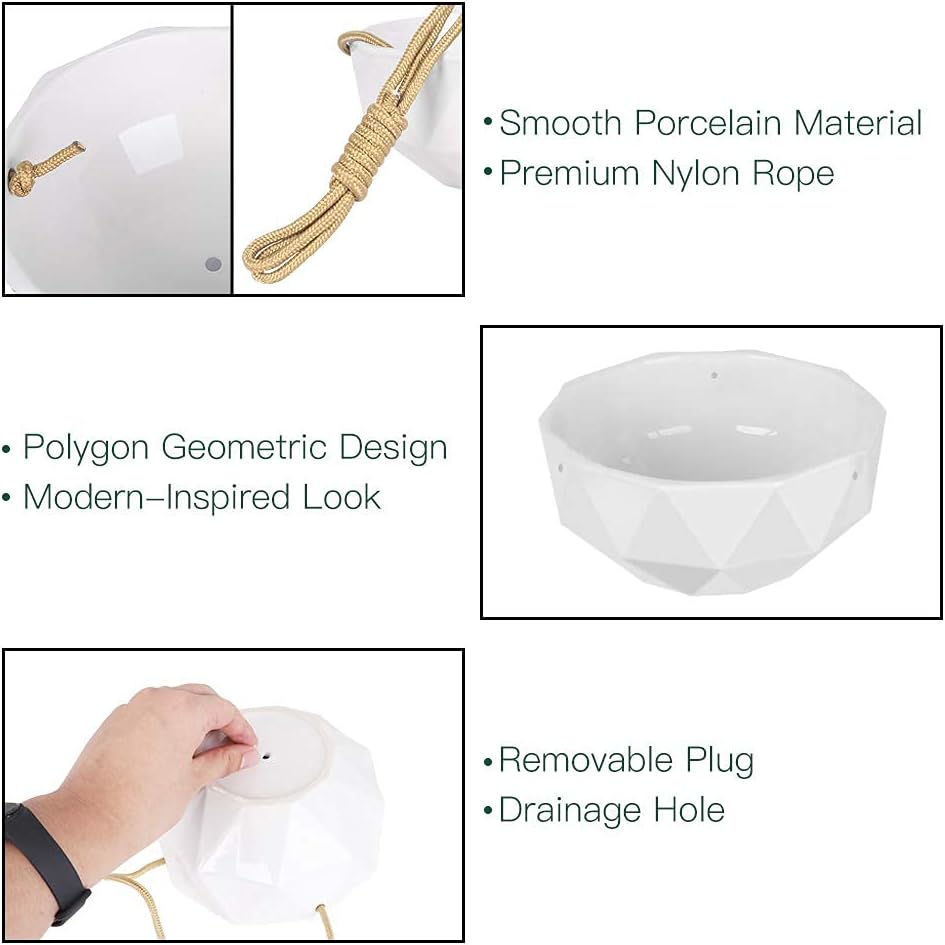 AmyHomie Hanging Planters for Indoor Outdoor Plants,2 Packs 8.5 Inches Ceramic Hanging Flower Pots with 4 Hooks and Drainage Hole for Home Decoration, Gift, Garden : Patio, Lawn & Garden