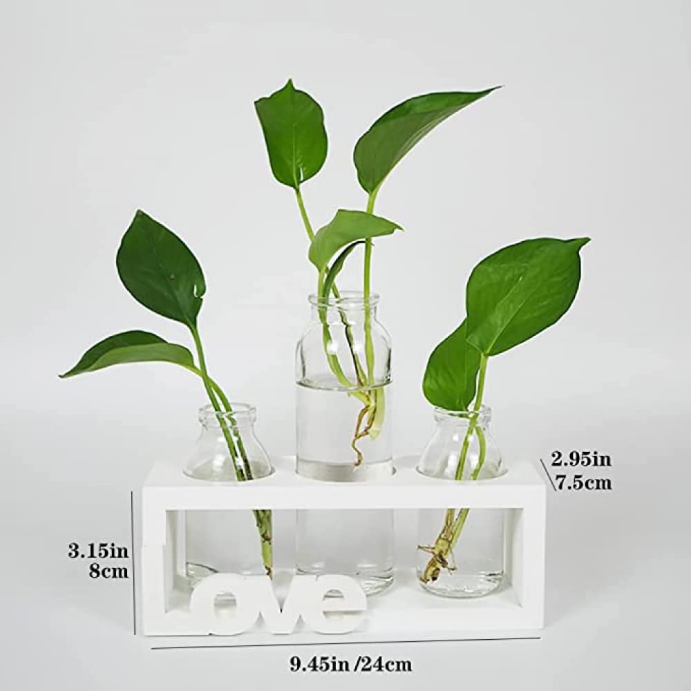 YXSH Station De Propagation des Plantes Vase Bouteille en Verre Plantes Hydroponiques Pot De Terrarium avec Support en Bois pour Mariage Bureau À Domicile Jardin Décoration De Table Vases À Bulbe