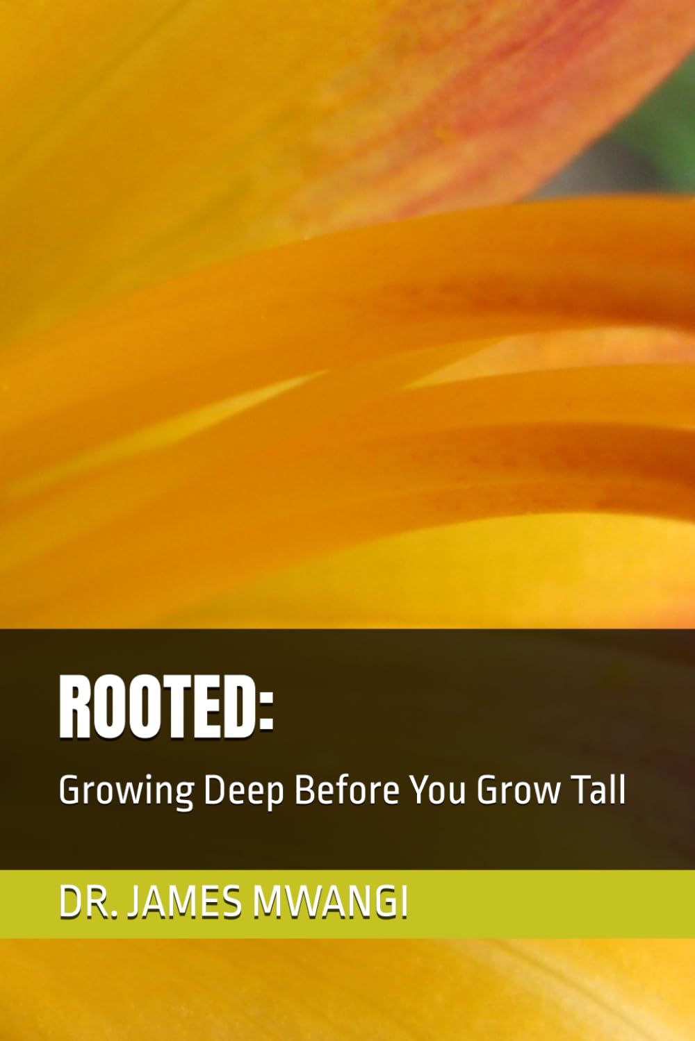 ROOTED:: Growing Deep Before You Grow Tall