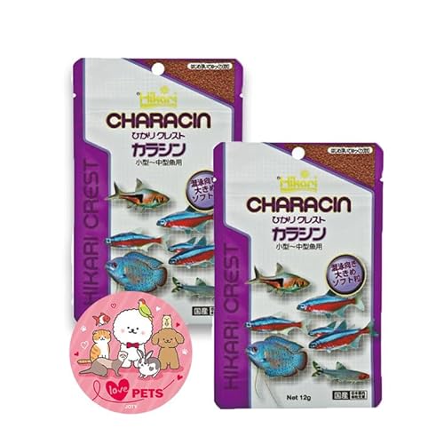 L[ ЂNXg JV12g×2Zbg ^`^p ͂ߕĂ蒾 GT a t[h 02-49H IWiXebJ[t