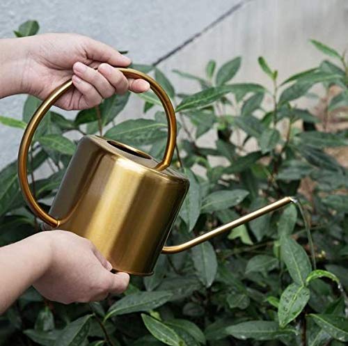 Konewka do podlewania, ze stali nierdzewnej, metalowa, 1300 ml, z długą szyjką, dla rodziny, biura, do roślin doniczkowych, bonsai, 1,3 l